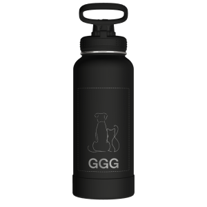 Actives Water Bottle With Spout Lid - customized