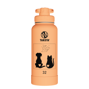 Actives Water Bottle With Spout Lid - customized