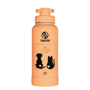 Actives Water Bottle With Spout Lid - customized