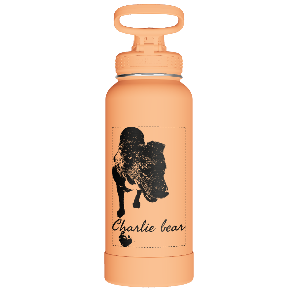 Actives Water Bottle With Spout Lid - customized - Image 2