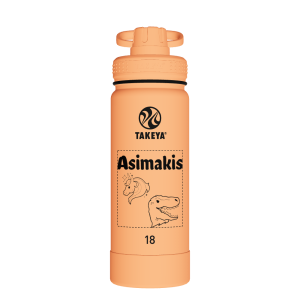 Actives Water Bottle With Spout Lid - customized