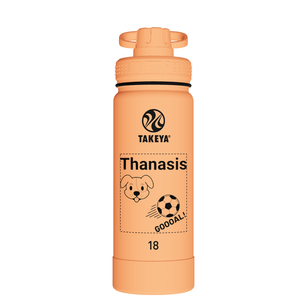 Actives Water Bottle With Spout Lid - customized